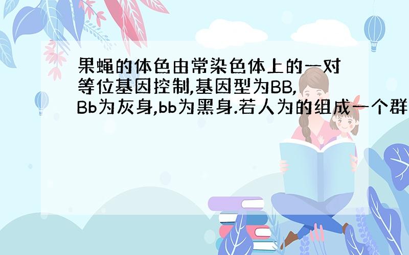 果蝇的体色由常染色体上的一对等位基因控制,基因型为BB,Bb为灰身,bb为黑身.若人为的组成一个群体,其中80%为BB的