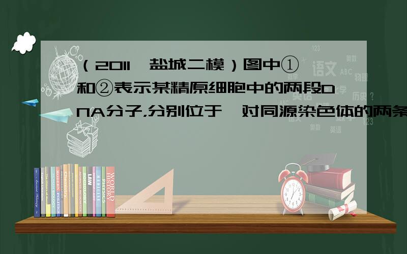 （2011•盐城二模）图中①和②表示某精原细胞中的两段DNA分子，分别位于一对同源染色体的两条非姐妹染色单体的相同位置上