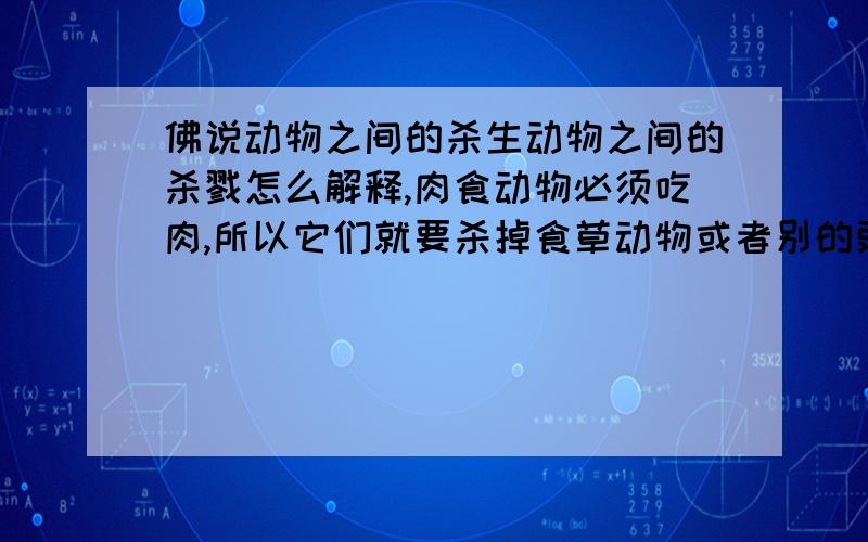 佛说动物之间的杀生动物之间的杀戮怎么解释,肉食动物必须吃肉,所以它们就要杀掉食草动物或者别的弱小者.那肉食动物会有业报吗