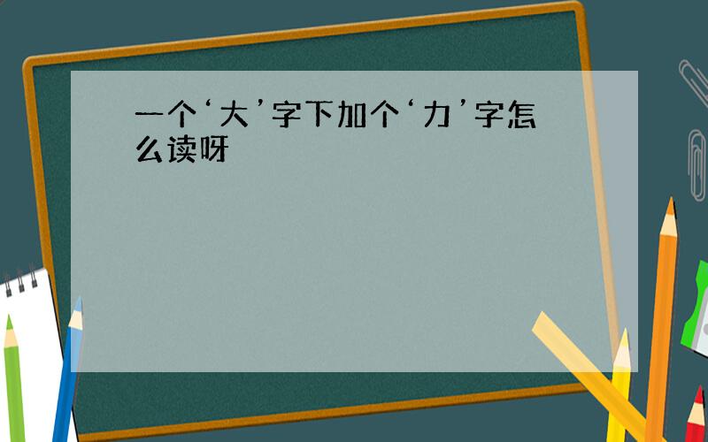 一个‘大’字下加个‘力’字怎么读呀