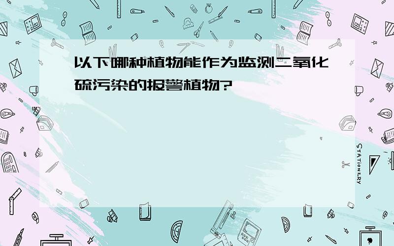 以下哪种植物能作为监测二氧化硫污染的报警植物?