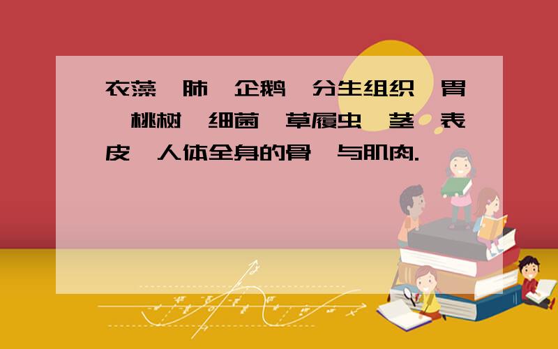 衣藻、肺、企鹅、分生组织、胃、桃树、细菌、草履虫、茎、表皮、人体全身的骨骼与肌肉.