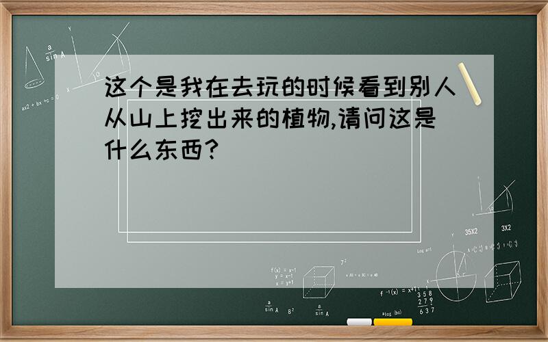 这个是我在去玩的时候看到别人从山上挖出来的植物,请问这是什么东西?