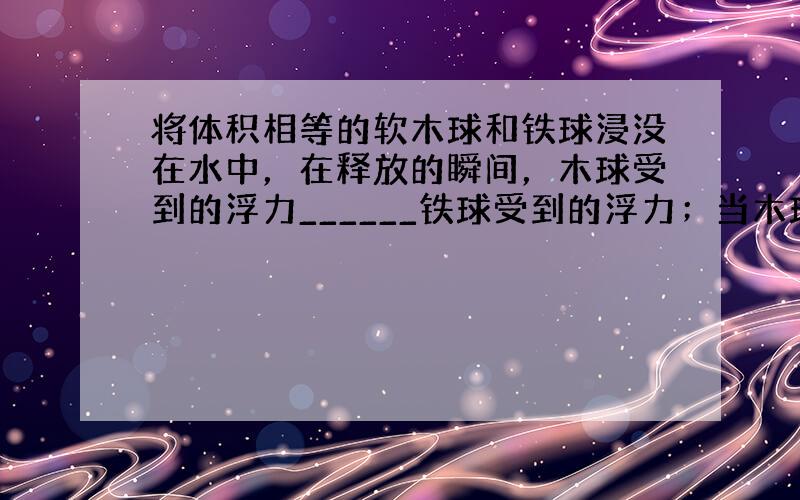 将体积相等的软木球和铁球浸没在水中，在释放的瞬间，木球受到的浮力______铁球受到的浮力；当木球浮在水面，铁球沉底后，