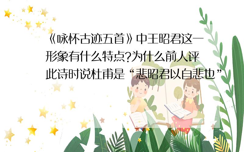 《咏怀古迹五首》中王昭君这一形象有什么特点?为什么前人评此诗时说杜甫是“悲昭君以自悲也”