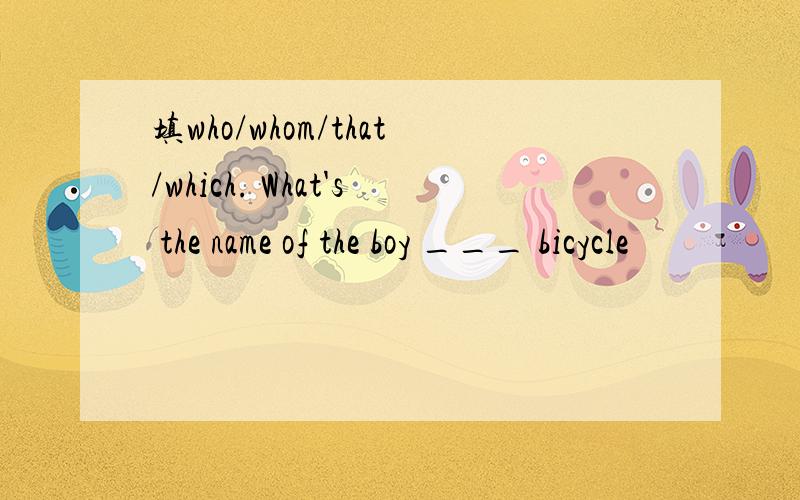 填who/whom/that/which. What's the name of the boy ___ bicycle