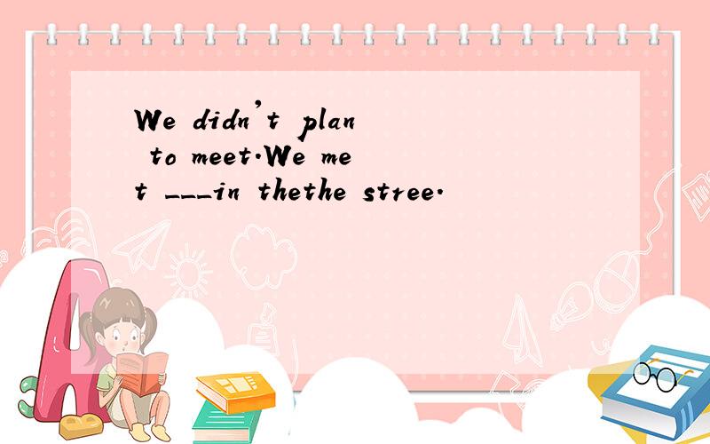 We didn't plan to meet.We met ___in thethe stree.