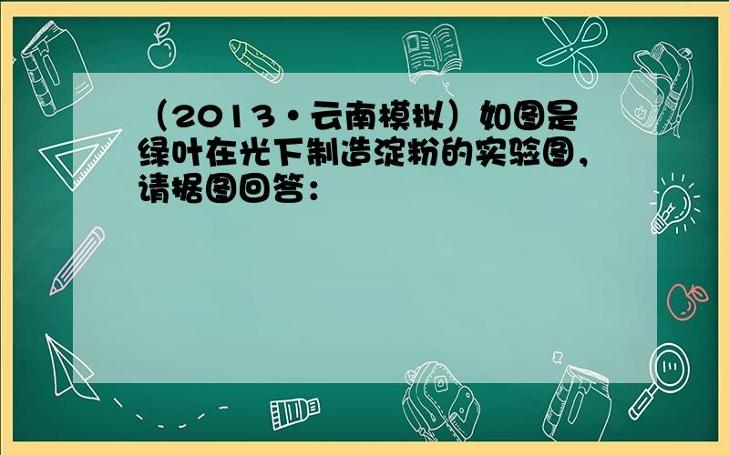 （2013•云南模拟）如图是绿叶在光下制造淀粉的实验图，请据图回答：