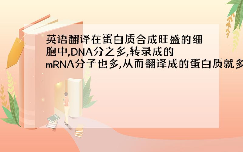 英语翻译在蛋白质合成旺盛的细胞中,DNA分之多,转录成的mRNA分子也多,从而翻译成的蛋白质就多,如胰腺细胞与口腔上皮细