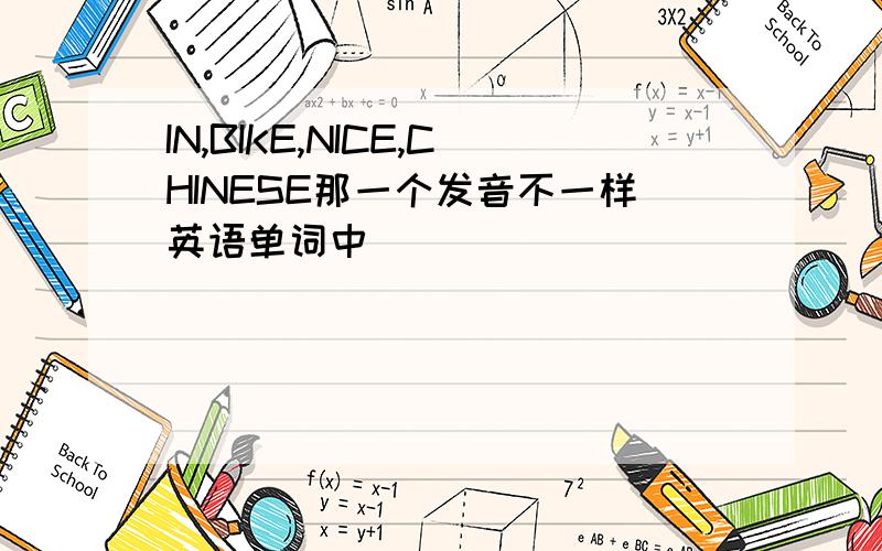 IN,BIKE,NICE,CHINESE那一个发音不一样英语单词中