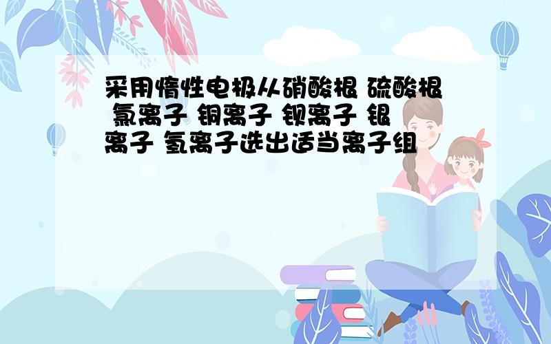 采用惰性电极从硝酸根 硫酸根 氯离子 铜离子 钡离子 银离子 氢离子选出适当离子组