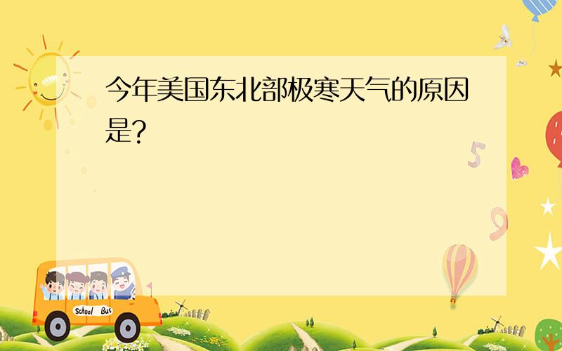 今年美国东北部极寒天气的原因是?