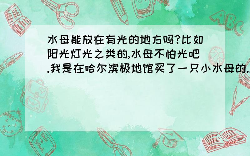 水母能放在有光的地方吗?比如阳光灯光之类的,水母不怕光吧.我是在哈尔滨极地馆买了一只小水母的..