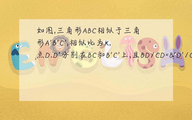 如图,三角形ABC相似于三角形A'B'C',相似比为K,点D.D'分别在BC和B'C'上,且BD/CD=B'D'/C'D