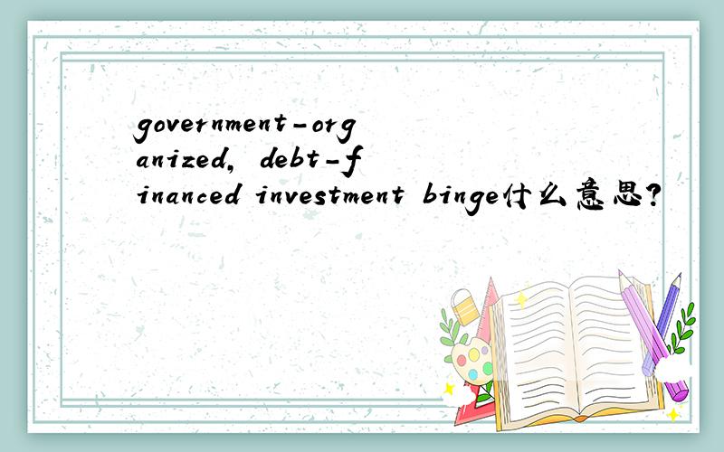 government-organized, debt-financed investment binge什么意思?