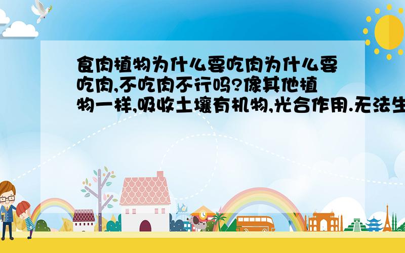 食肉植物为什么要吃肉为什么要吃肉,不吃肉不行吗?像其他植物一样,吸收土壤有机物,光合作用.无法生存嘛?这样一个问题就难住