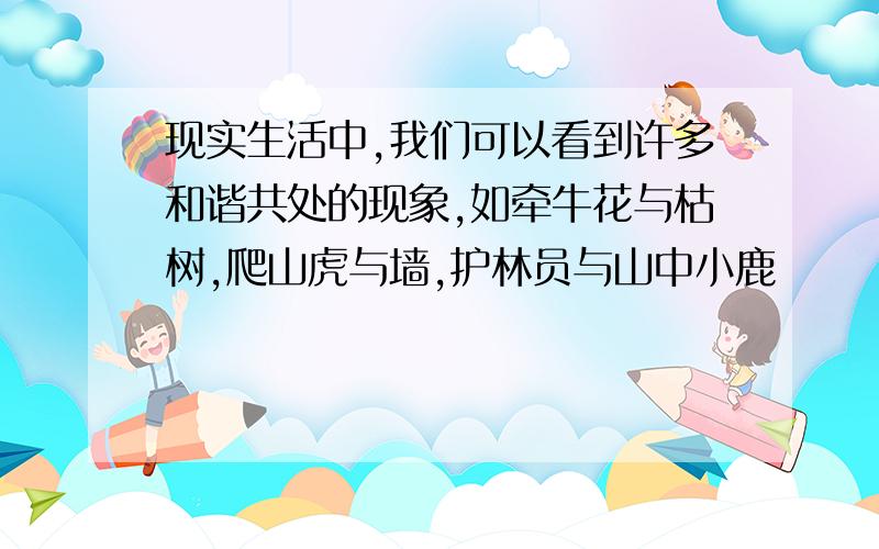 现实生活中,我们可以看到许多和谐共处的现象,如牵牛花与枯树,爬山虎与墙,护林员与山中小鹿