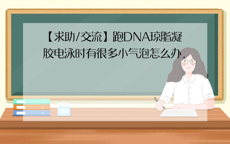 【求助/交流】跑DNA琼脂凝胶电泳时有很多小气泡怎么办.