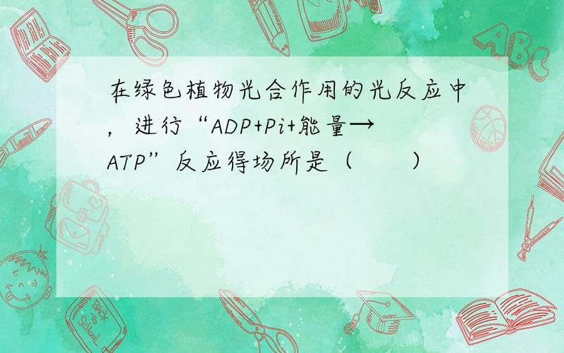 在绿色植物光合作用的光反应中，进行“ADP+Pi+能量→ATP”反应得场所是（　　）