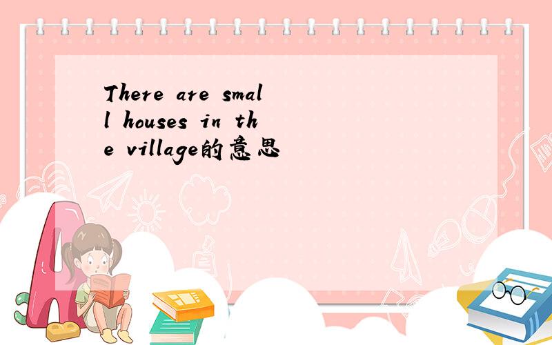 There are small houses in the village的意思