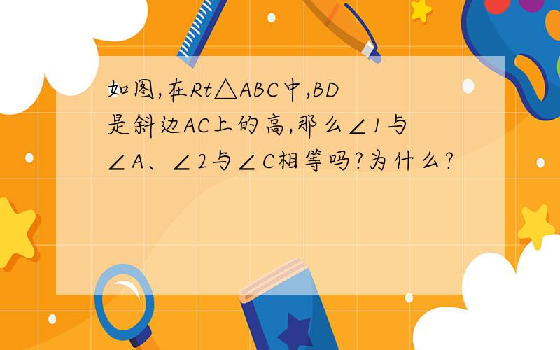 如图,在Rt△ABC中,BD是斜边AC上的高,那么∠1与∠A、∠2与∠C相等吗?为什么?