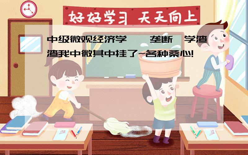 中级微观经济学——垄断,学渣渣我中微其中挂了~各种桑心!