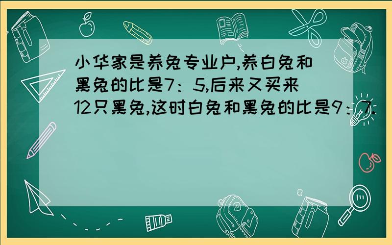 小华家是养兔专业户,养白兔和黑兔的比是7：5,后来又买来12只黑兔,这时白兔和黑兔的比是9：7.