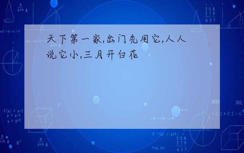 天下第一家,出门先用它,人人说它小,三月开白花