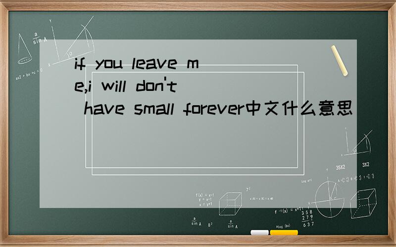 if you leave me,i will don't have small forever中文什么意思