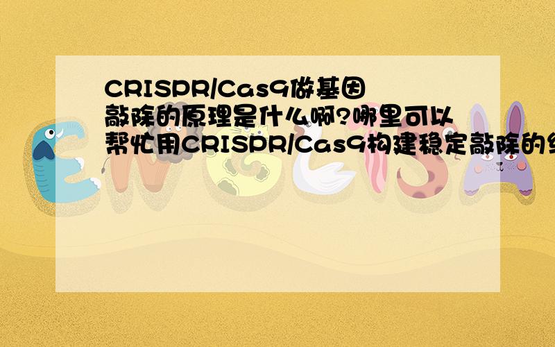 CRISPR/Cas9做基因敲除的原理是什么啊?哪里可以帮忙用CRISPR/Cas9构建稳定敲除的细