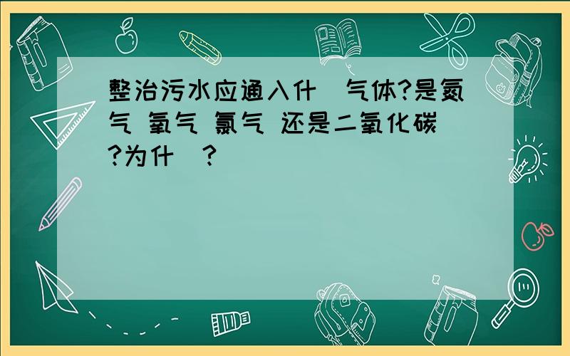 整治污水应通入什麼气体?是氮气 氧气 氯气 还是二氧化碳?为什麼?