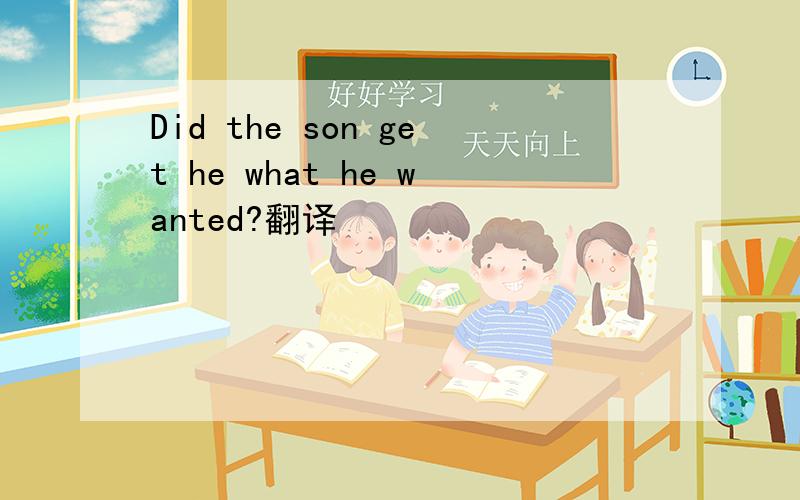 Did the son get he what he wanted?翻译