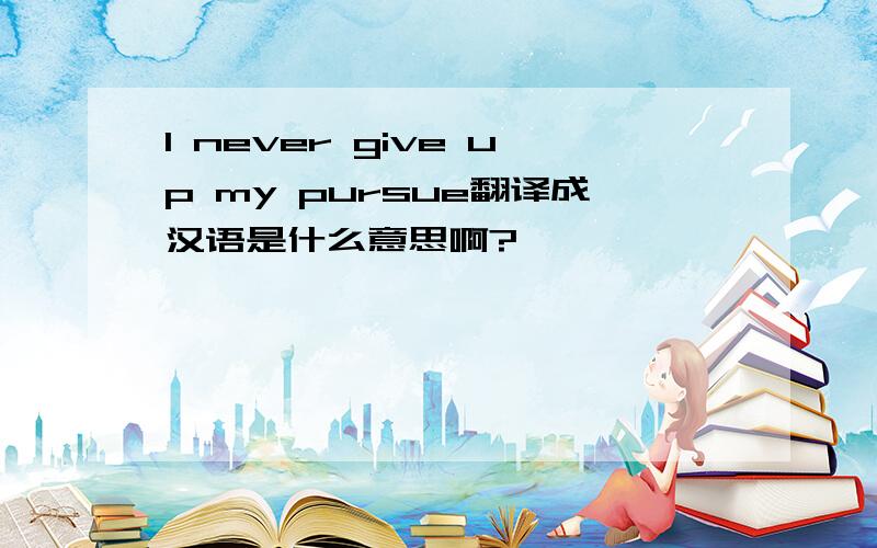 I never give up my pursue翻译成汉语是什么意思啊?