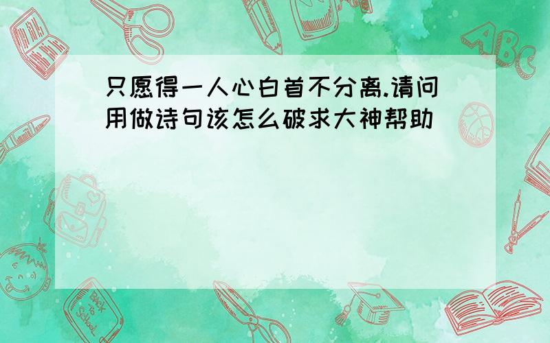 只愿得一人心白首不分离.请问用做诗句该怎么破求大神帮助