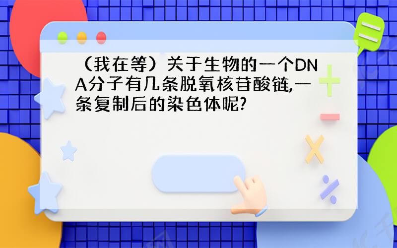 （我在等）关于生物的一个DNA分子有几条脱氧核苷酸链,一条复制后的染色体呢?