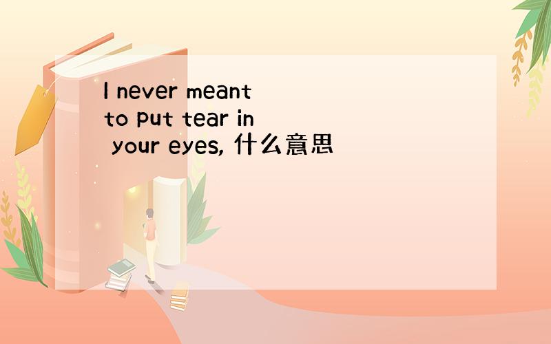 I never meant to put tear in your eyes, 什么意思