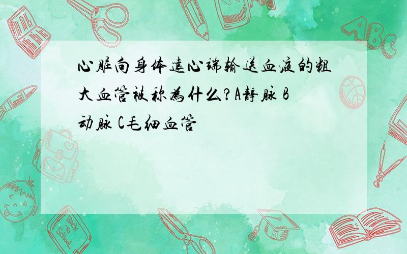 心脏向身体远心端输送血液的粗大血管被称为什么?A静脉 B动脉 C毛细血管