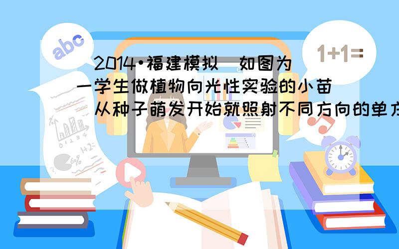 （2014•福建模拟）如图为一学生做植物向光性实验的小苗（从种子萌发开始就照射不同方向的单方向的光）．