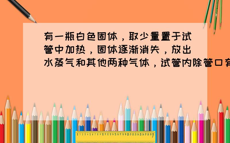 有一瓶白色固体，取少量置于试管中加热，固体逐渐消失，放出水蒸气和其他两种气体，试管内除管口有少量水珠外，没有任何残留物．