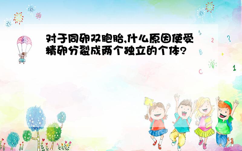 对于同卵双胞胎,什么原因使受精卵分裂成两个独立的个体?