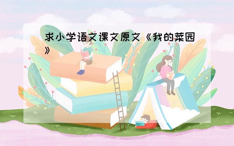 求小学语文课文原文《我的菜园》