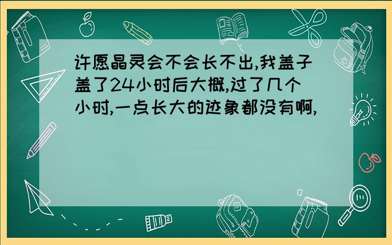 许愿晶灵会不会长不出,我盖子盖了24小时后大概,过了几个小时,一点长大的迹象都没有啊,