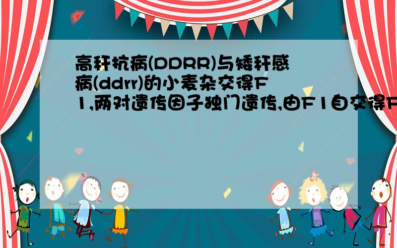 高秆抗病(DDRR)与矮秆感病(ddrr)的小麦杂交得F1,两对遗传因子独门遗传,由F1自交得F2,从F2中选一株矮秆抗