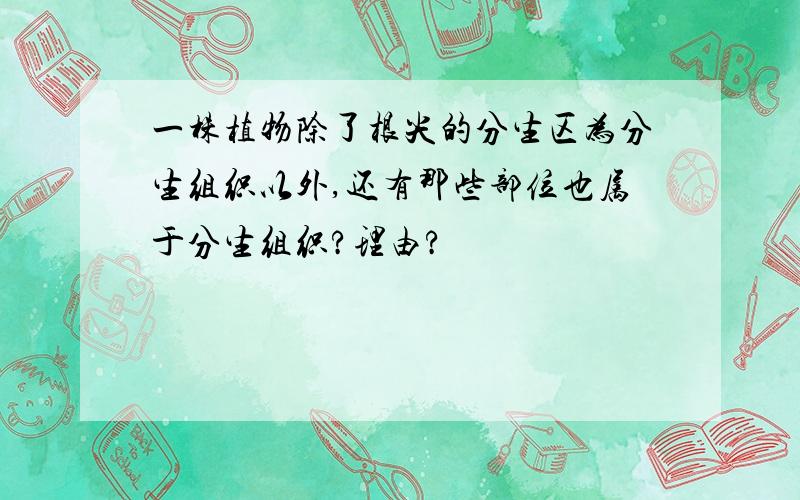 一株植物除了根尖的分生区为分生组织以外,还有那些部位也属于分生组织?理由?