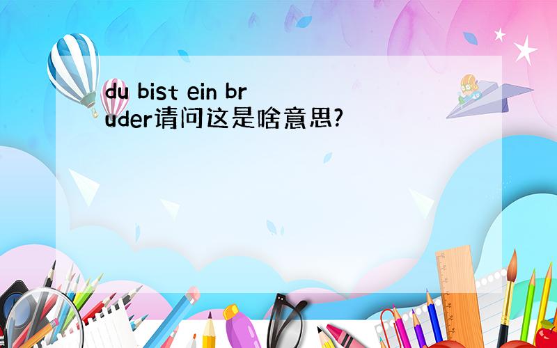 du bist ein bruder请问这是啥意思?