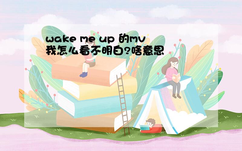 wake me up 的mv我怎么看不明白?啥意思