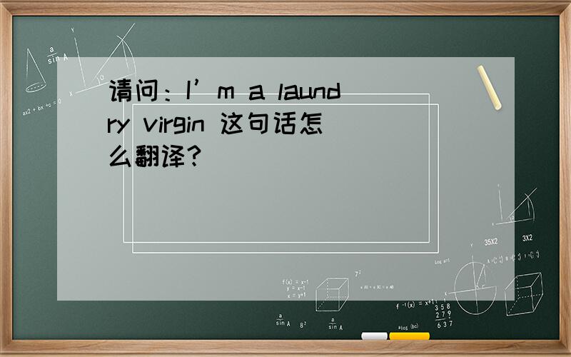 请问：I’m a laundry virgin 这句话怎么翻译?