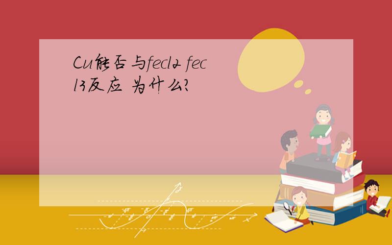 Cu能否与fecl2 fecl3反应 为什么?