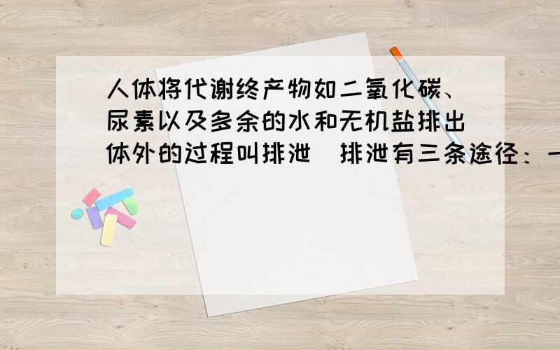 人体将代谢终产物如二氧化碳、尿素以及多余的水和无机盐排出体外的过程叫排泄．排泄有三条途径：一、二氧化碳和少量的水以气体