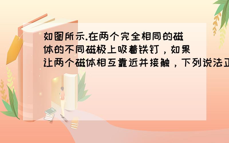 如图所示.在两个完全相同的磁体的不同磁极上吸着铁钉，如果让两个磁体相互靠近并接触，下列说法正确的是（　　）